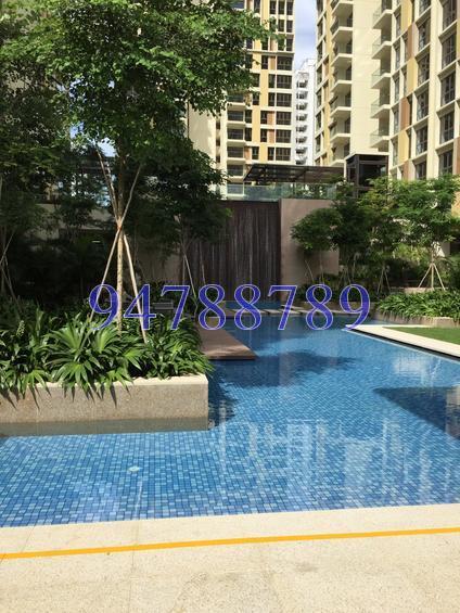 Terrasse (D19), Condominium #151881302